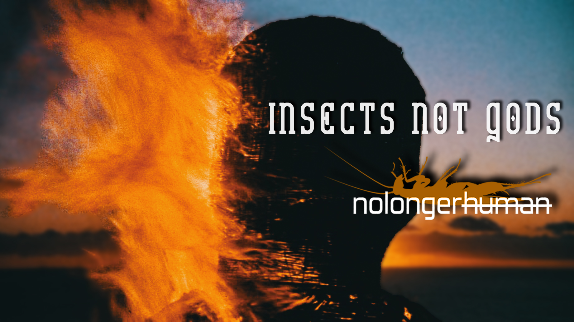 nolongerhuman – Insects Not Gods (Official Music Video) is Now Live!