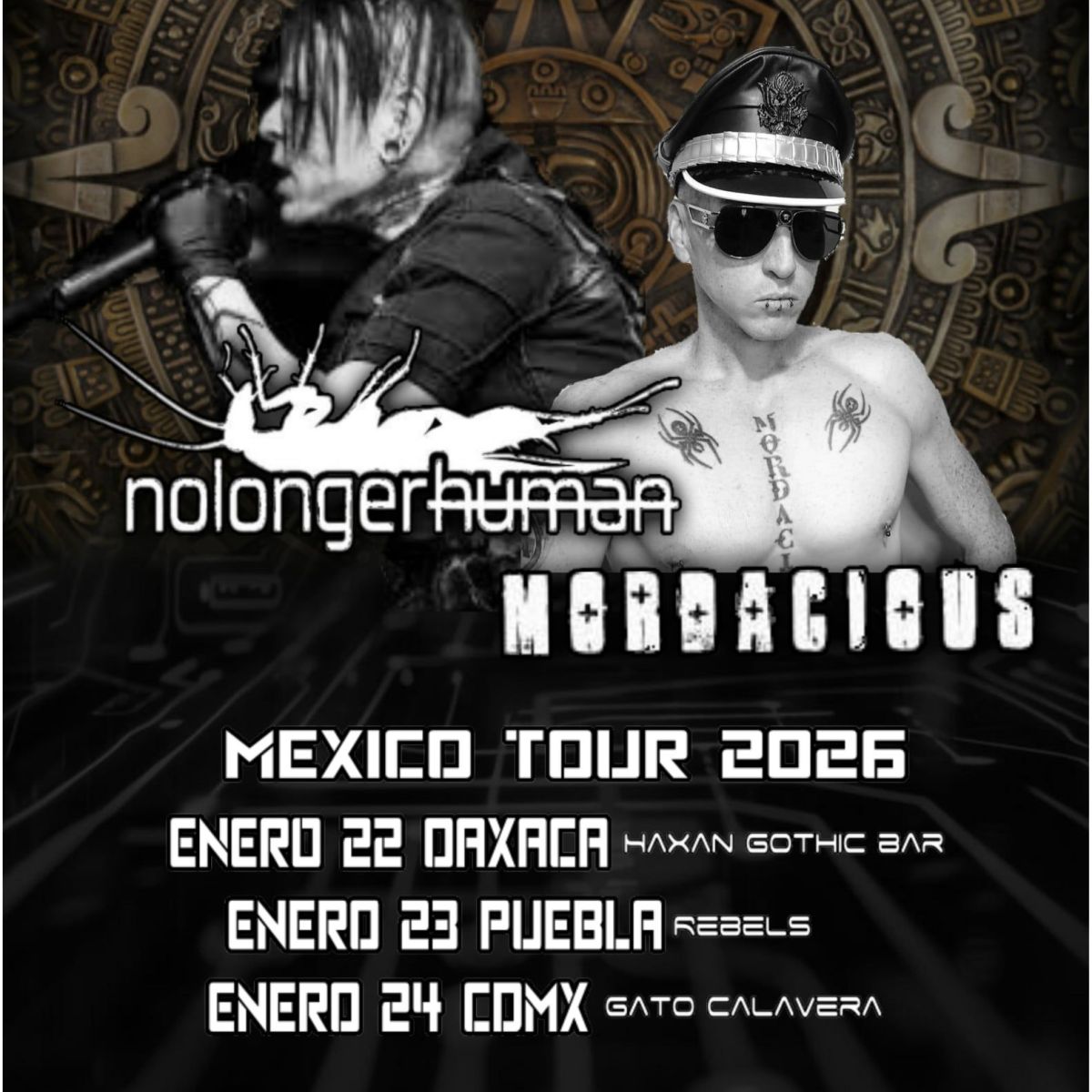 2026 Mexico Tour&nbsp;Announcement!