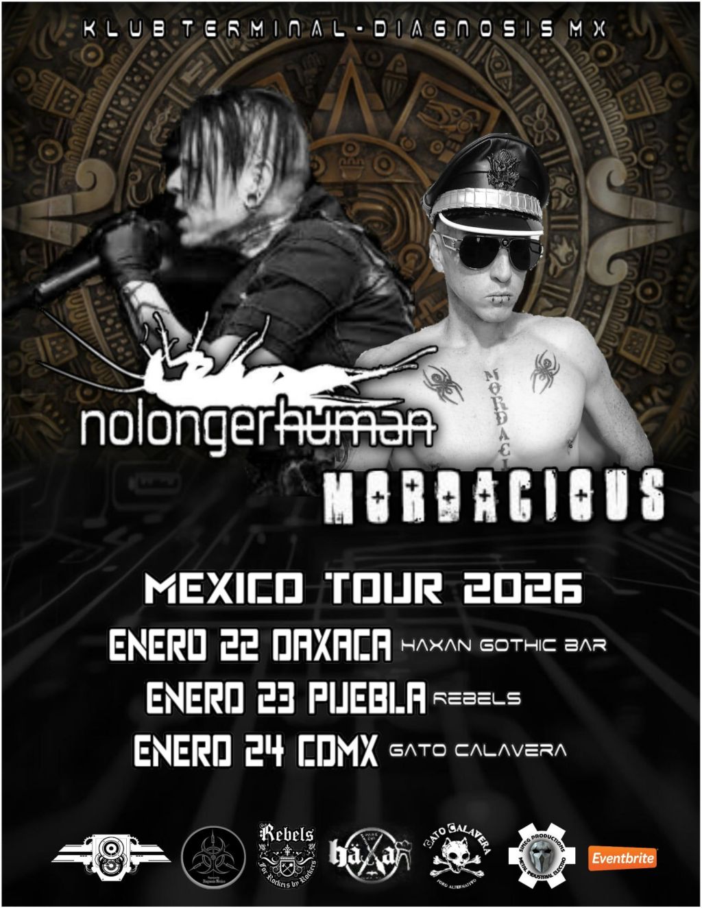 2026 Mexico Tour&nbsp;Announcement!